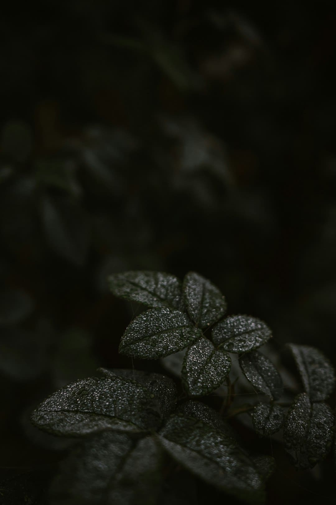 利山涧在哪里
